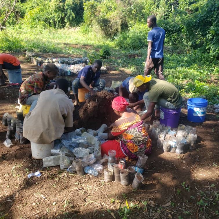 Tree Planting Campaign