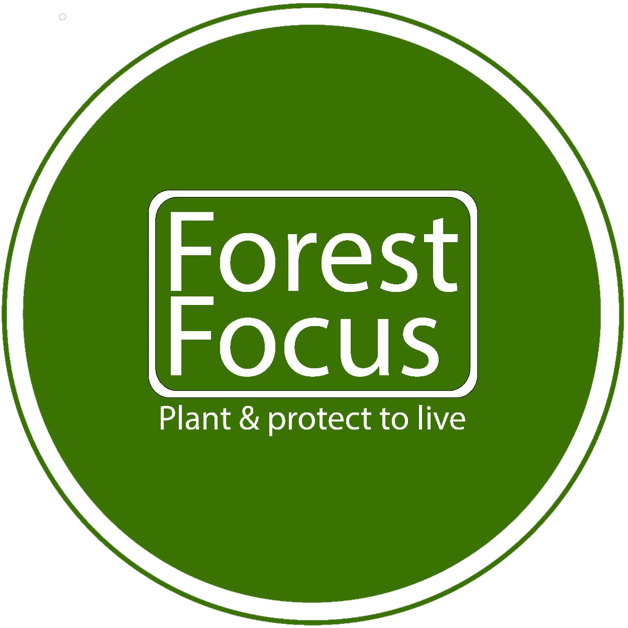 Forest Focus